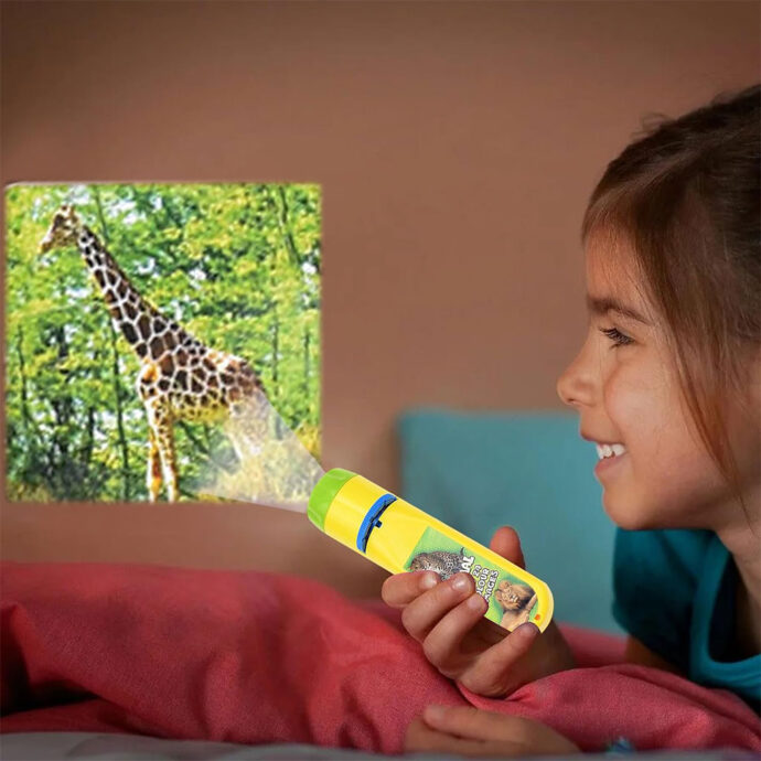 ⁦Projecteur Lampe de Poche pour Enfants avec 3 disques 24 Images⁩ - الصورة ⁦7⁩