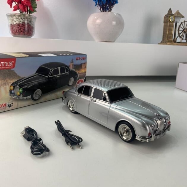 Voiture Haut-Parleur Bluetooth Sans Fil Rechargeable 10W