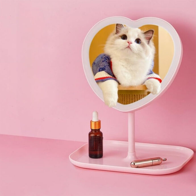 ⁦Miroir de Maquillage LED avec Rangement  Rechargeable⁩ - الصورة ⁦3⁩