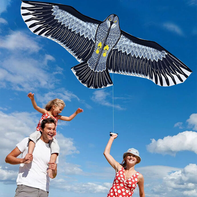 Cerf-volant Phoenix – Solide, amusant et facile à piloter