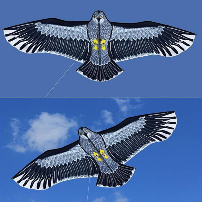 ⁦Cerf-volant Phoenix – Solide, amusant et facile à piloter⁩ - الصورة ⁦4⁩