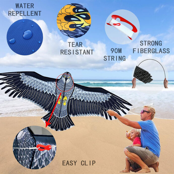 ⁦Cerf-volant Phoenix – Solide, amusant et facile à piloter⁩ - الصورة ⁦3⁩