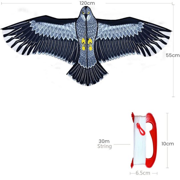 Cerf-volant Phoenix – Solide, amusant et facile à piloter
