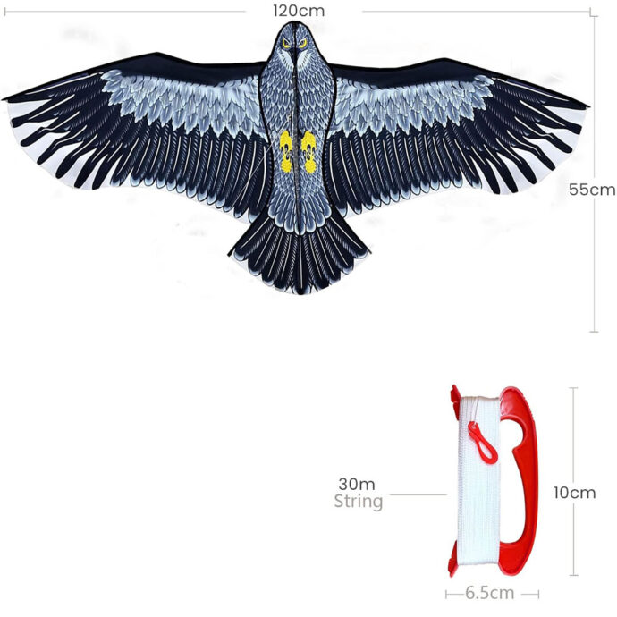 ⁦Cerf-volant Phoenix – Solide, amusant et facile à piloter⁩ - الصورة ⁦2⁩