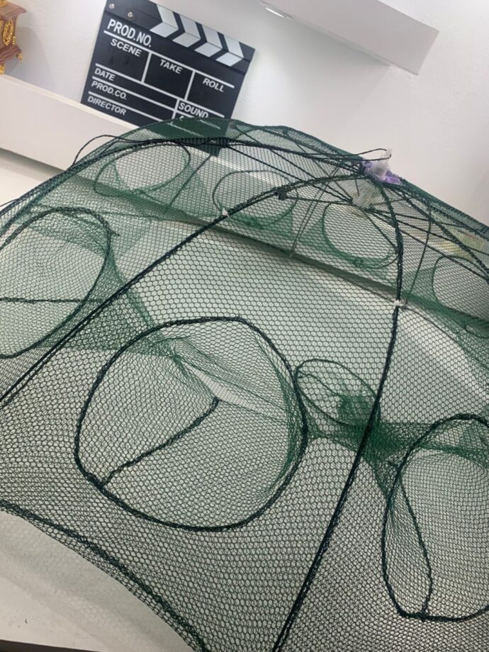⁦Piège à Filet de Pêche Pliable à 10 Entrées – Pour Crabes, Écrevisses et Poissons⁩ - الصورة ⁦2⁩