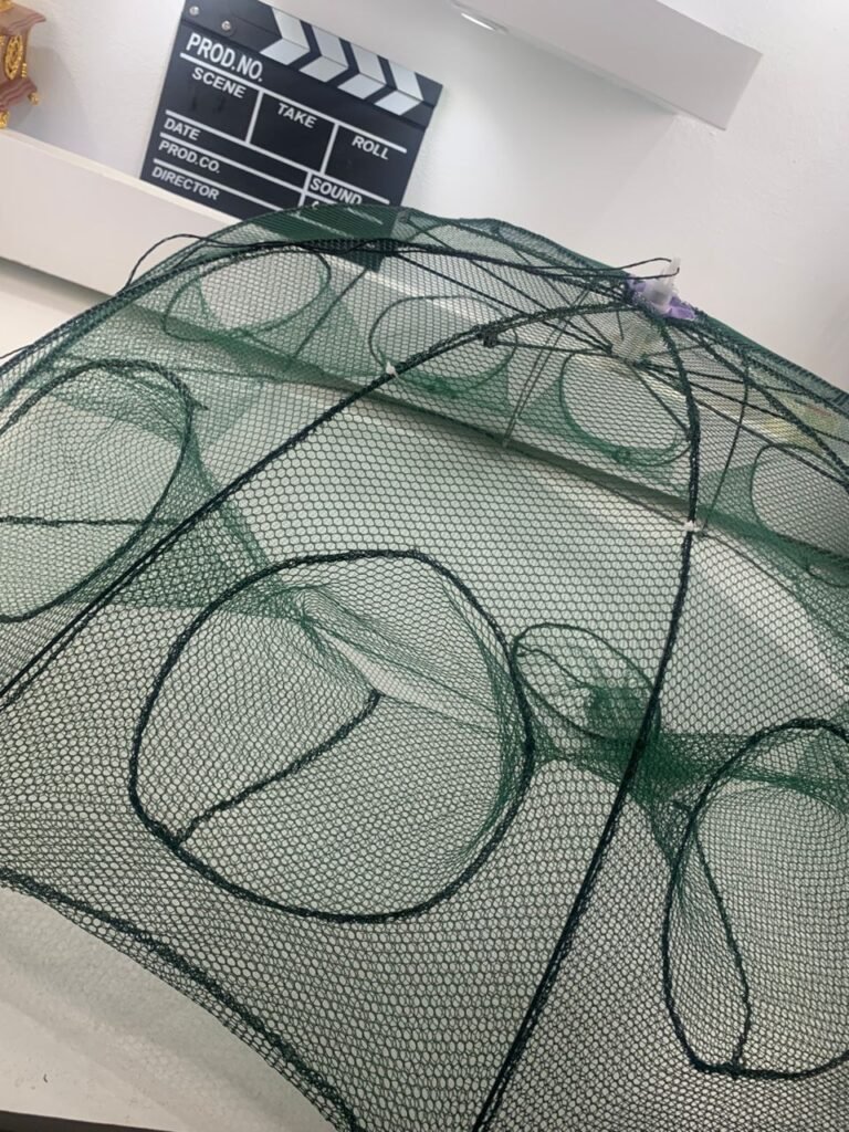 Piège à Filet de Pêche Pliable à 10 Entrées – Pour Crabes, Écrevisses et Poissons