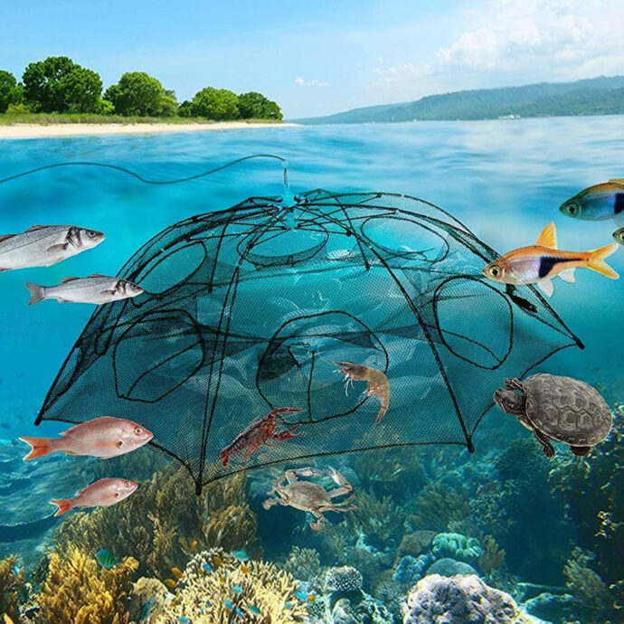 ⁦Piège à Filet de Pêche Pliable à 10 Entrées – Pour Crabes, Écrevisses et Poissons⁩ - الصورة ⁦9⁩