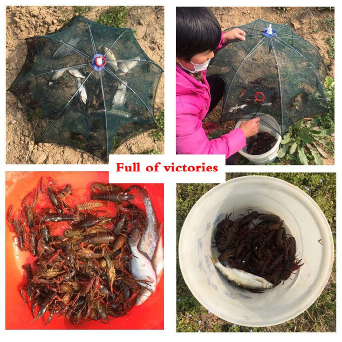 ⁦Piège à Filet de Pêche Pliable à 10 Entrées – Pour Crabes, Écrevisses et Poissons⁩ - الصورة ⁦8⁩