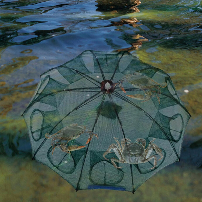 ⁦Piège à Filet de Pêche Pliable à 10 Entrées – Pour Crabes, Écrevisses et Poissons⁩ - الصورة ⁦10⁩