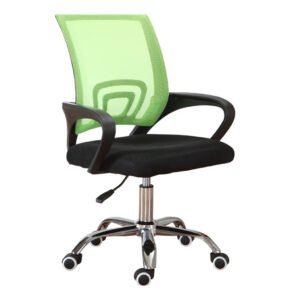 Chaise de Bureau Ergonomique avec Support Lombaire vert