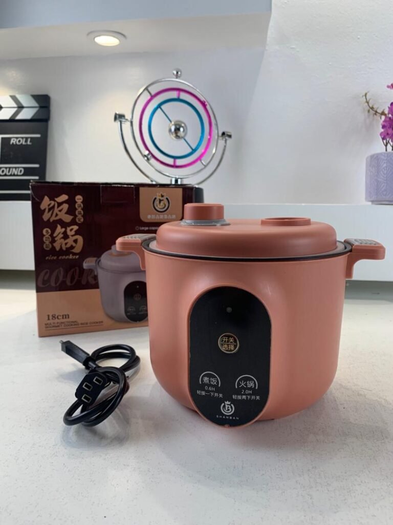 Cocotte Électrique Multifonction 450W – Cuisson à la Vapeur, Frire