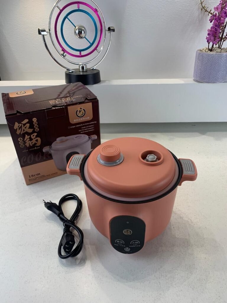 Cocotte Électrique Multifonction 450W – Cuisson à la Vapeur, Frire