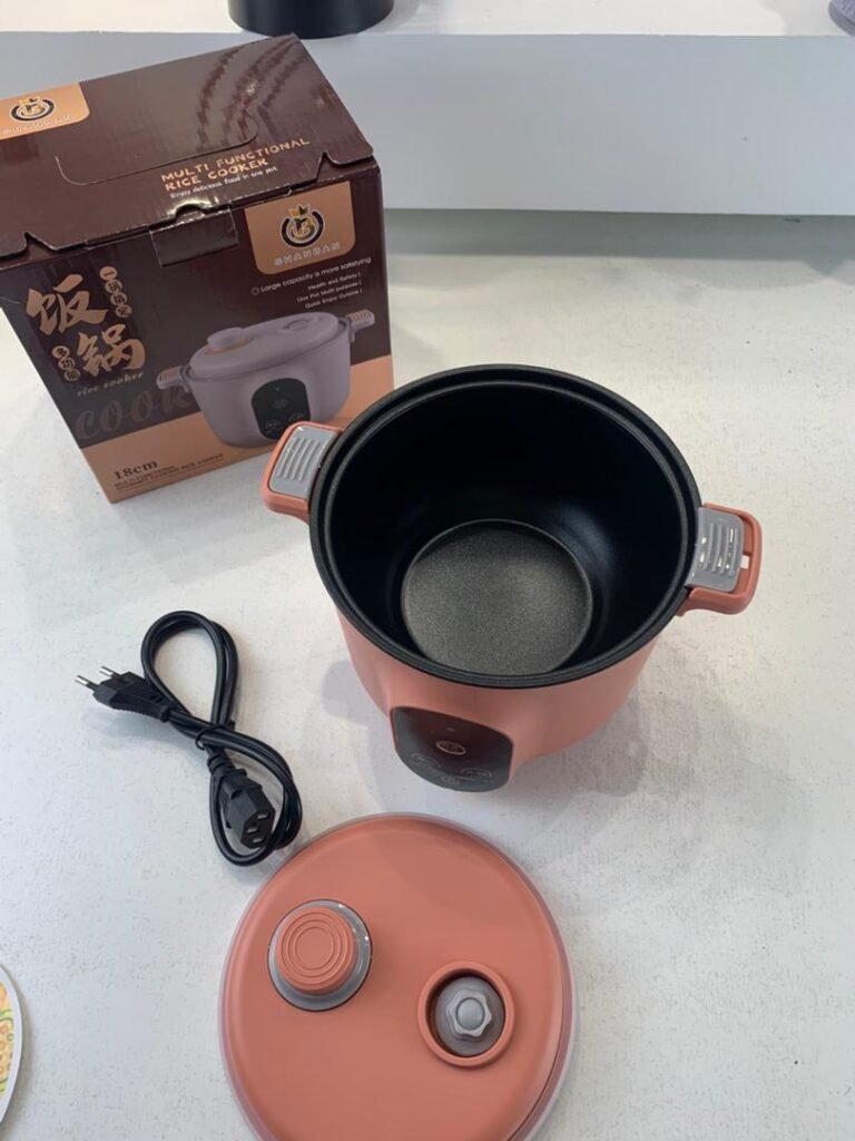 Cocotte Électrique Multifonction 450W – Cuisson à la Vapeur, Frire