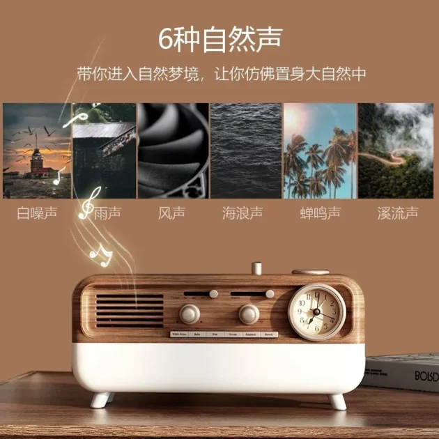 Radio Portable Bluetooth FM/AM/SW 1200mAh – Réception Claire & Son Puissant