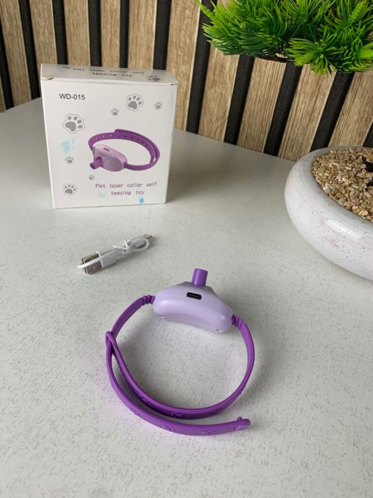 Collier interactif LED pour chats – amusant, sûr et rechargeable !