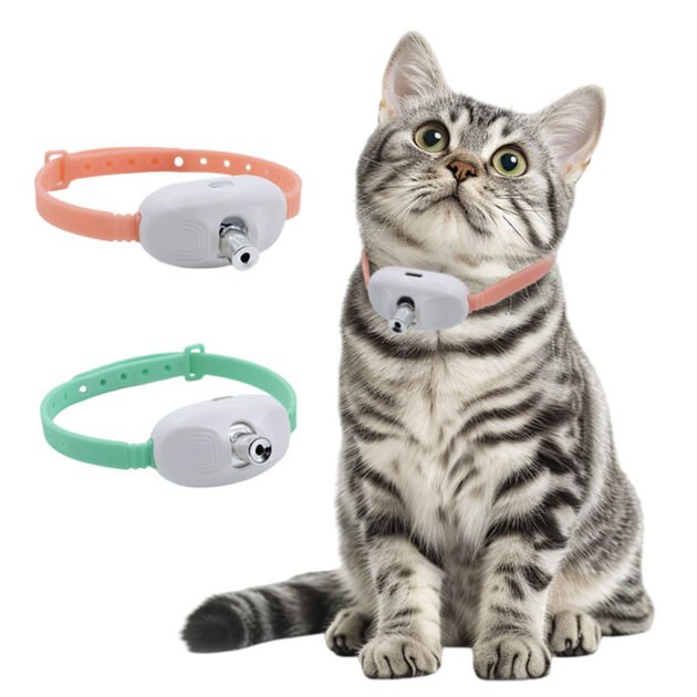 Collier interactif LED pour chats – amusant, sûr et rechargeable !