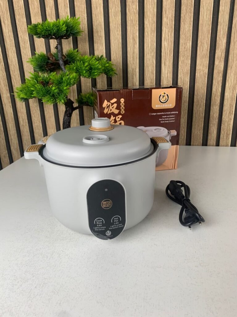 Cuiseur Electrique Multifonctionnel 20cm – Petit appareil portable pour cuisine complète