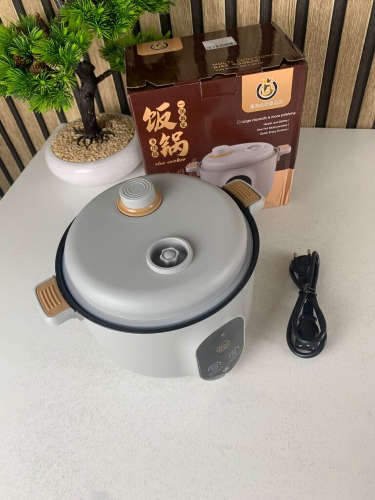 Cuiseur Electrique Multifonctionnel 20cm – Petit appareil portable pour cuisine complète
