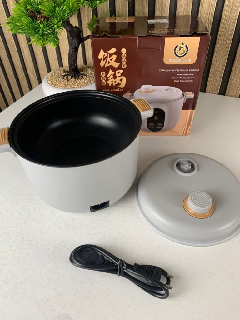 Cuiseur Electrique Multifonctionnel 20cm – Petit appareil portable pour cuisine complète