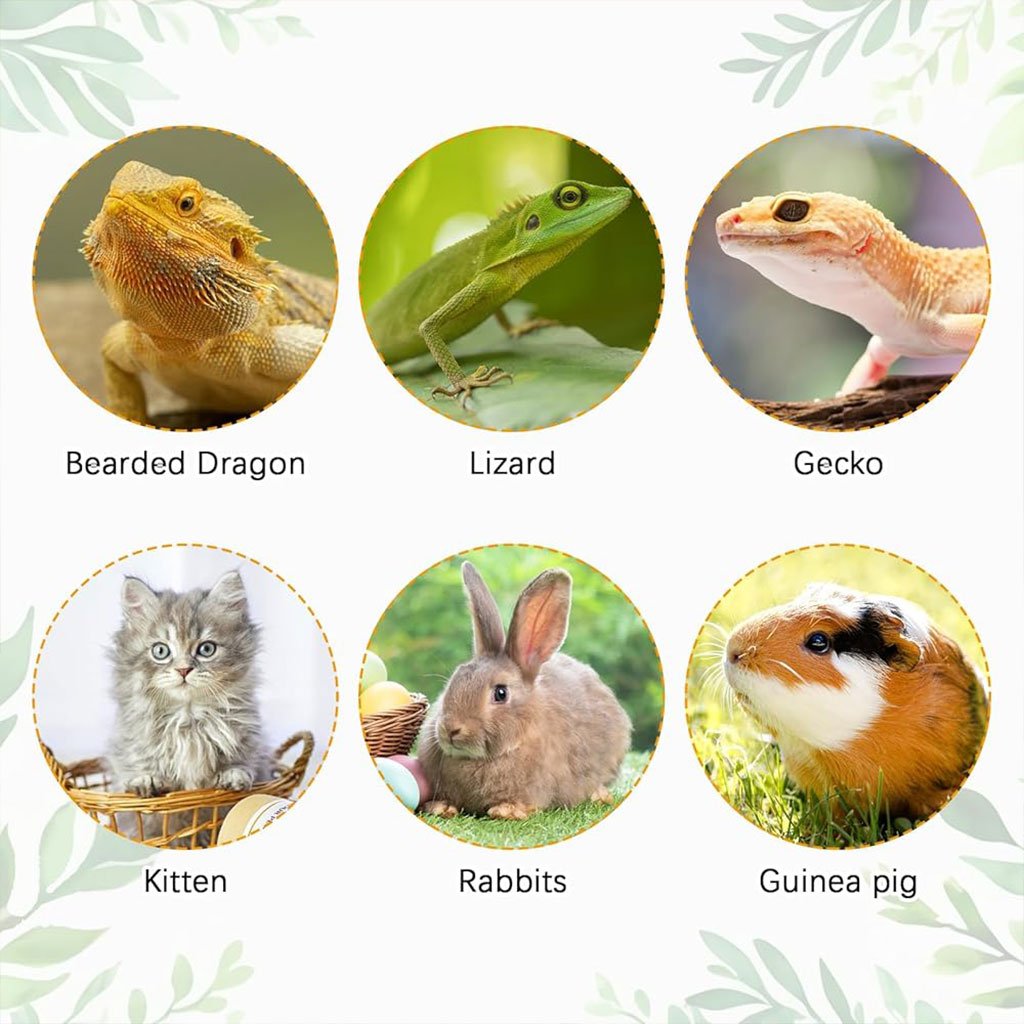 Sac à Dos de Transport Capsule pour Chat & Animaux – Confort, Sécurité & Style Moderne