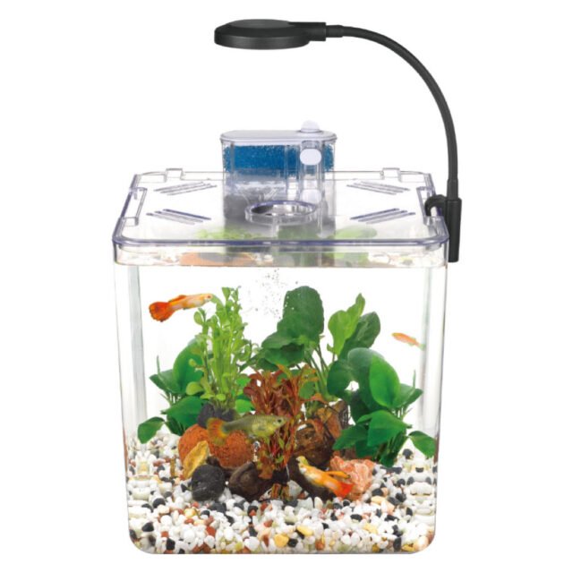 Mini Aquarium Nanbor LED – Simplicité & Élégance pour Débutants (5L)