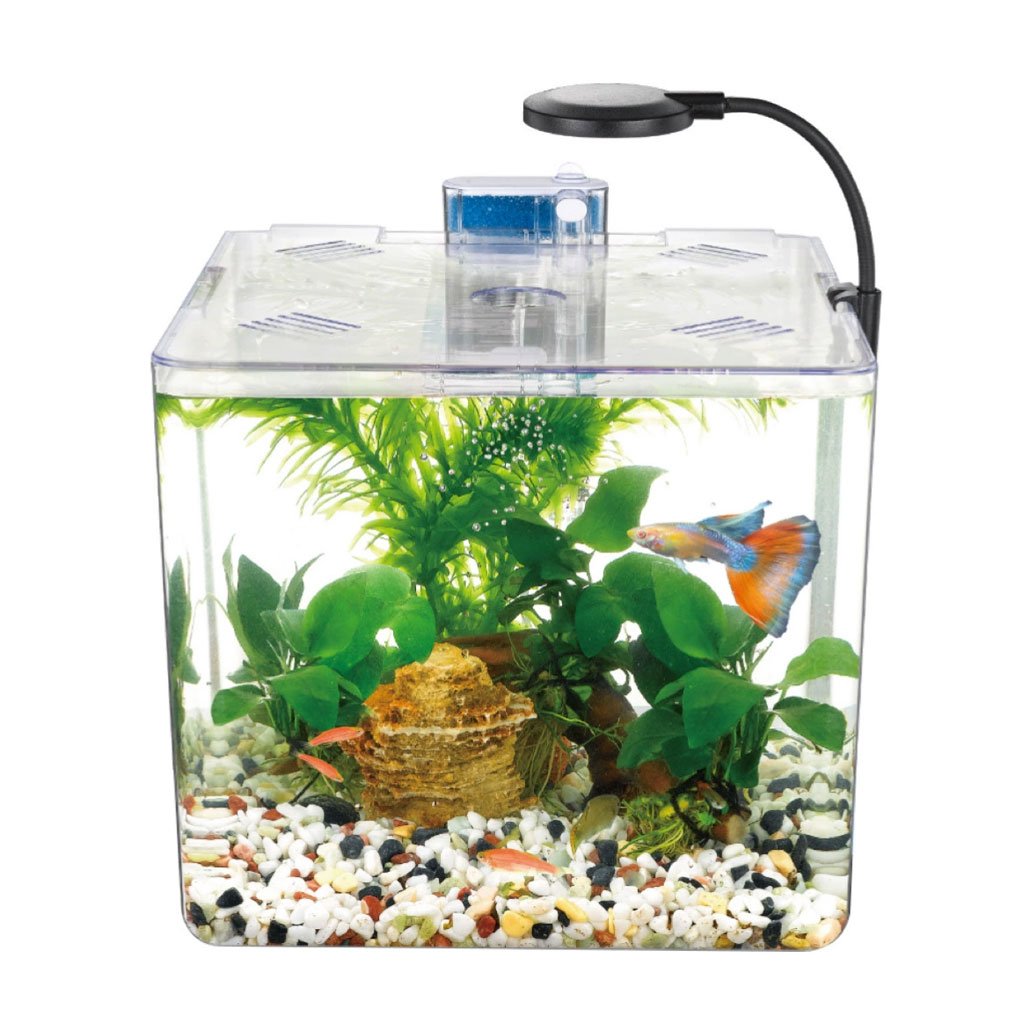 Mini Aquarium Nanbor LED – Simplicité & Élégance pour Débutants (5L) - الصورة 4