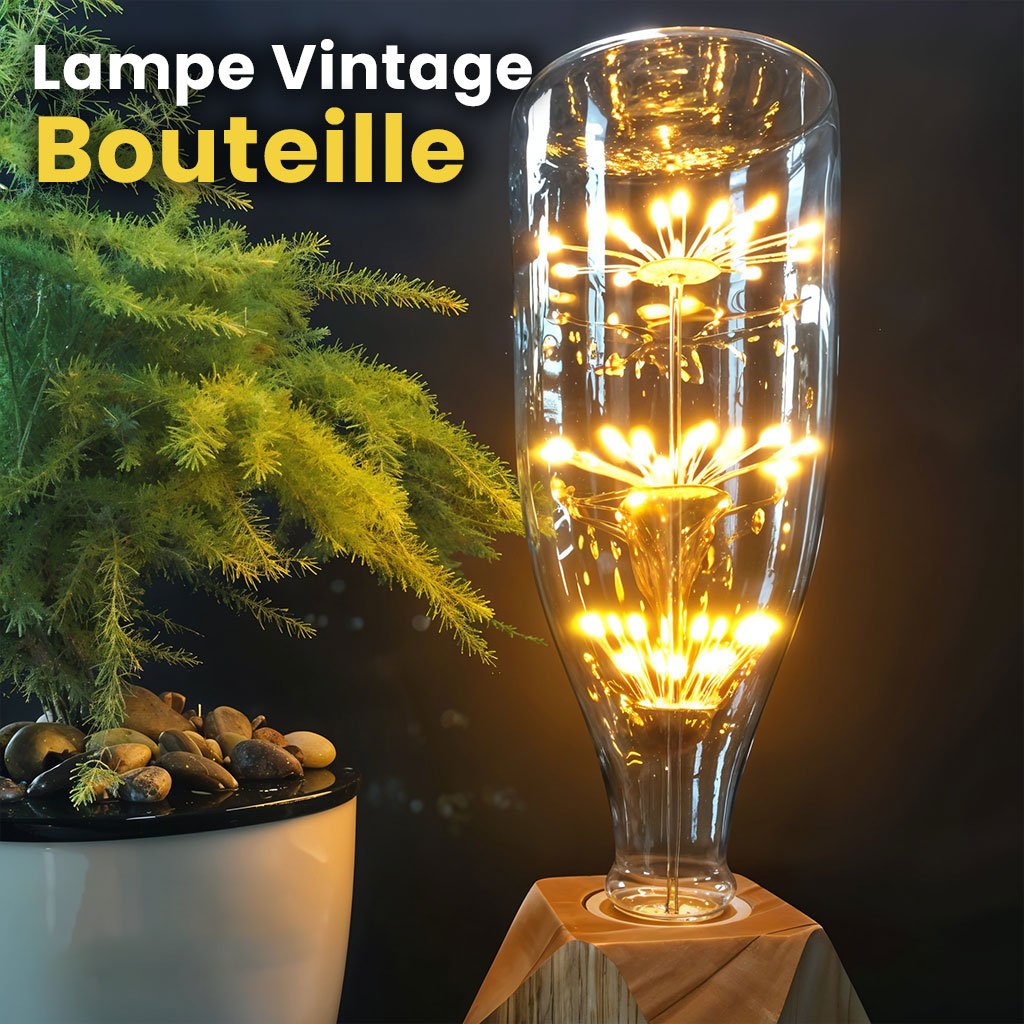 Ampoule Edison E27 à Vis LED Grande Bouteille