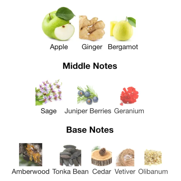 Yves Saint Laurent Y Eau de parfum