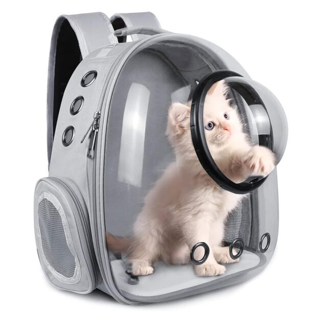 Sac à dos de transport pour chat ventilé – Confort et sécurité en déplacement
