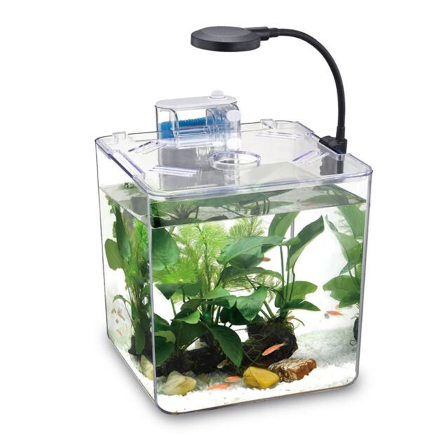 Kit mini aquarium Nanbor avec système de filtrage et lampe LED – Élégance & Simplicité pour Débutants