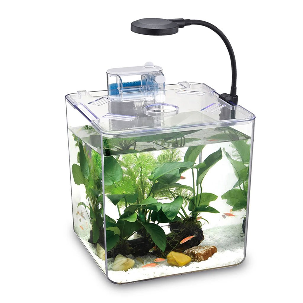 Kit mini aquarium Nanbor avec système de filtrage et lampe LED – Élégance & Simplicité pour Débutants