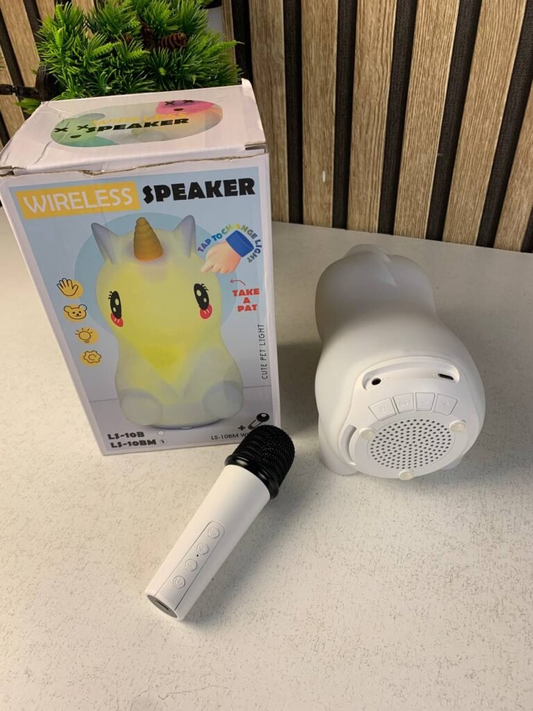 Enceinte Portable SHIOU LS-10B – Ambiance