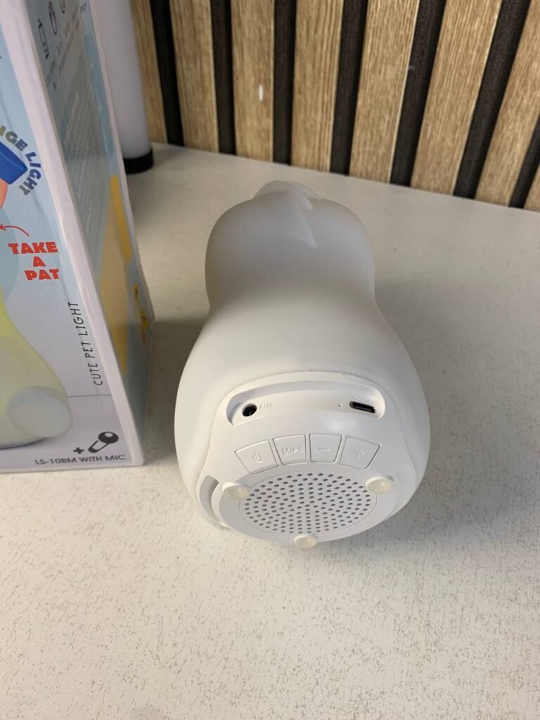 Enceinte Portable SHIOU LS-10B – Ambiance