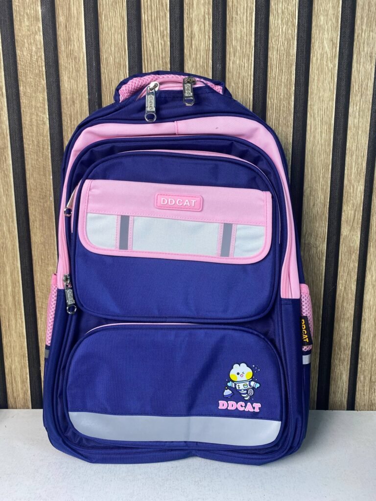 Sac à Dos Scolaire Grand Volume Rose et Bleu — Pour École