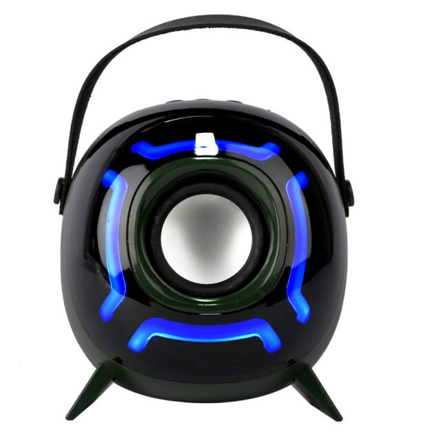Haut-Parleur Bluetooth Portable avec Micro Super Bass