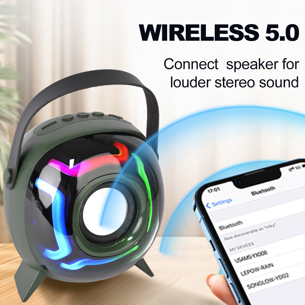 Haut-Parleur Bluetooth Portable avec Micro Super Bass
