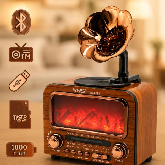 Haut-parleur Bluetooth Vintage NNS NS-01BT avec Radio
