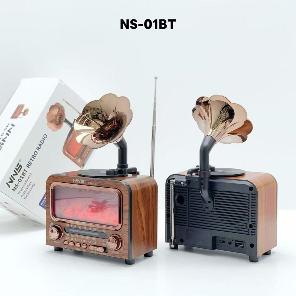Haut-parleur Bluetooth Vintage NNS NS-01BT avec Radio