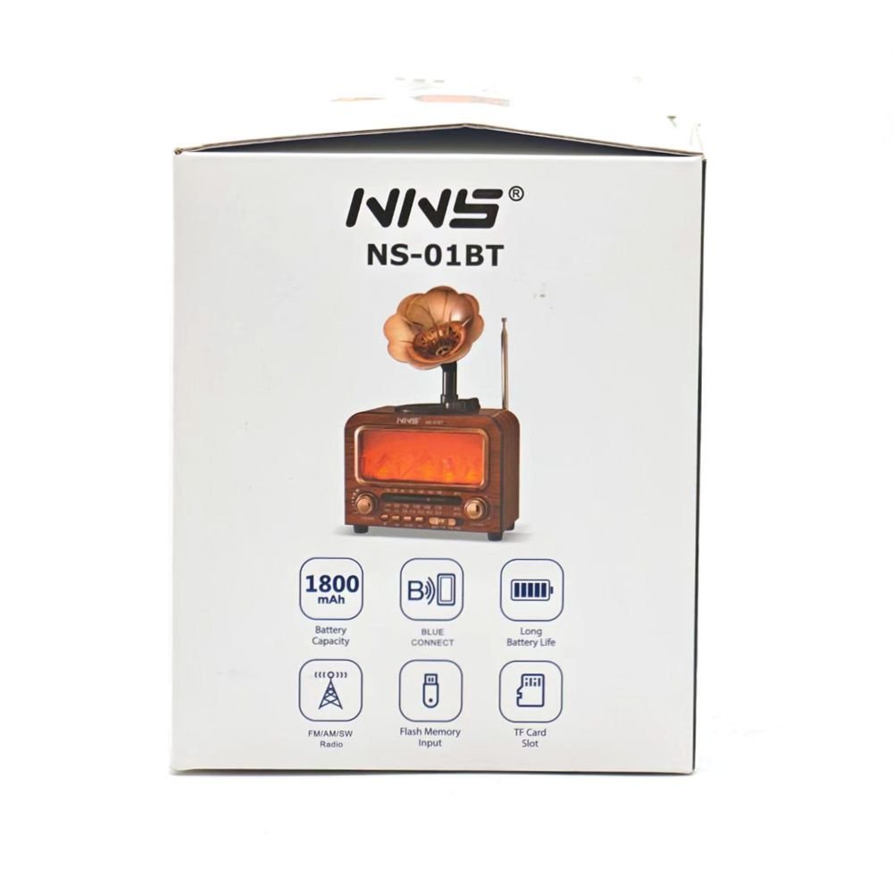 Haut-parleur Bluetooth Vintage NNS NS-01BT avec Radio