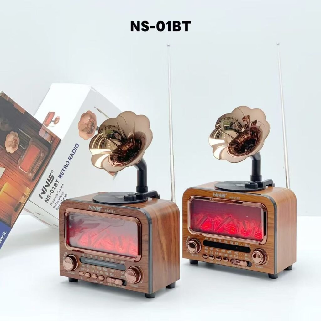 Haut-parleur Bluetooth Vintage NNS NS-01BT avec Radio