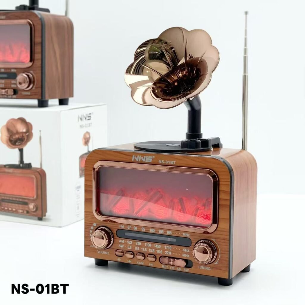 Haut-parleur Bluetooth Vintage NNS NS-01BT avec Radio