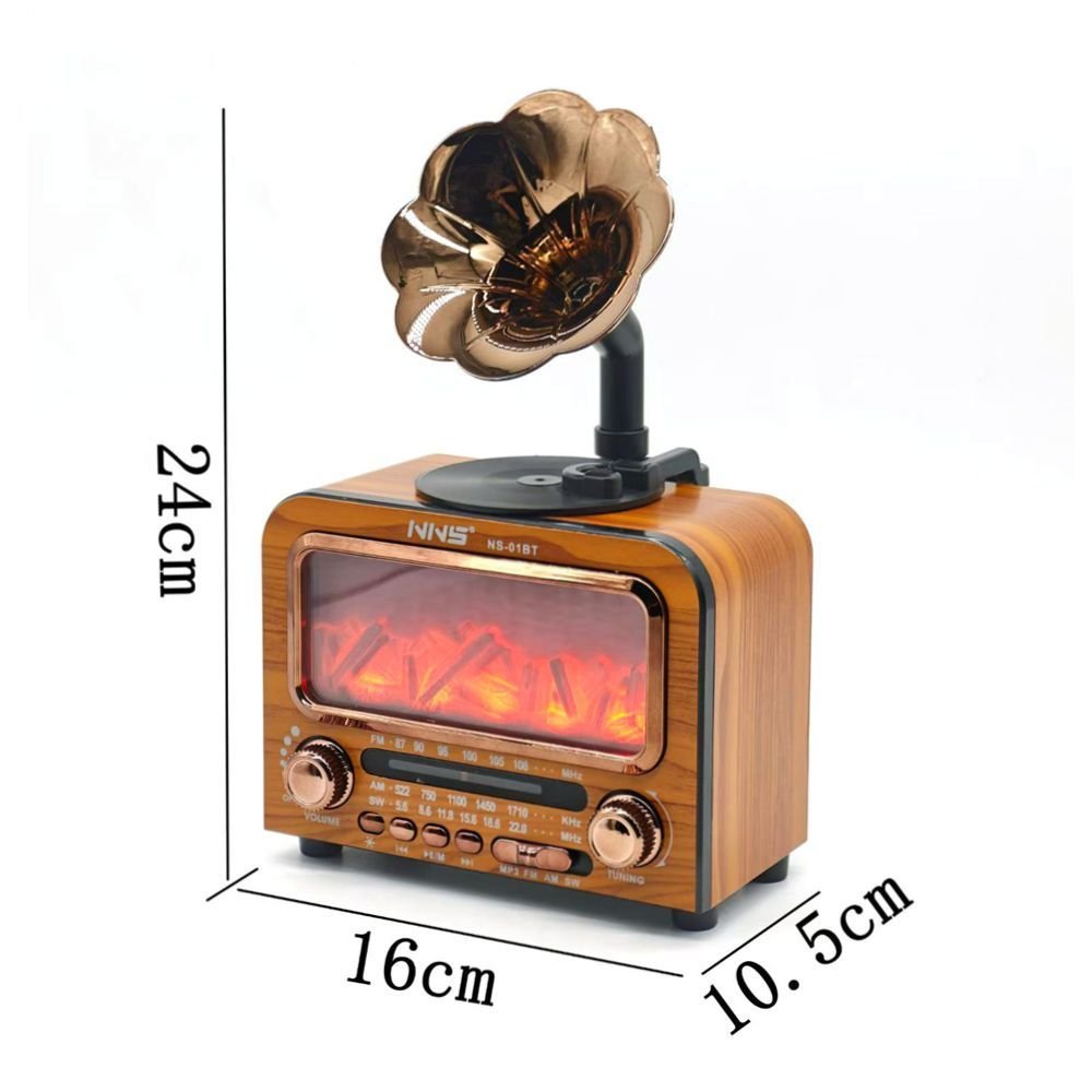 Haut-parleur Bluetooth Vintage NNS NS-01BT avec Radio