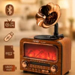 Haut-parleur Bluetooth Vintage NNS NS-01BT avec Radio